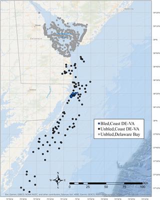 The Long-Term Effect of Bleeding for Limulus Amebocyte Lysate on Annual Survival and Recapture of Tagged Horseshoe Crabs